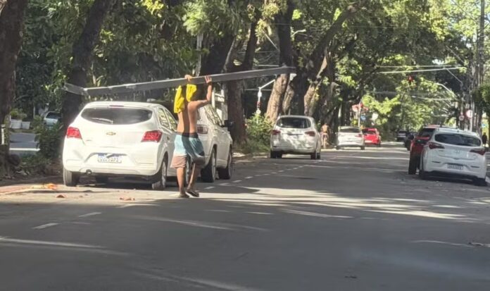 Prefeitura do Recife/Divulgação